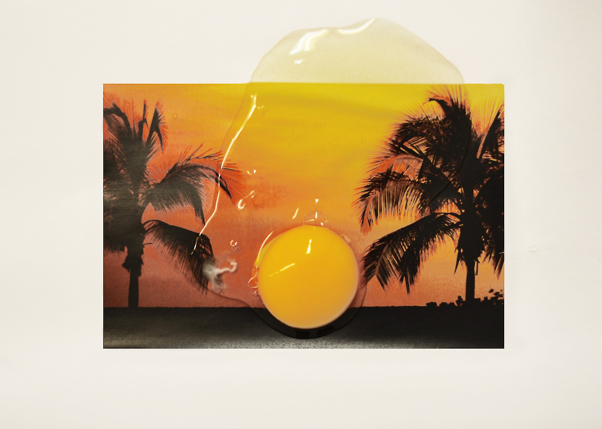 Une carte postale de cocotiers avec un oeuf cassé en guise du soleil