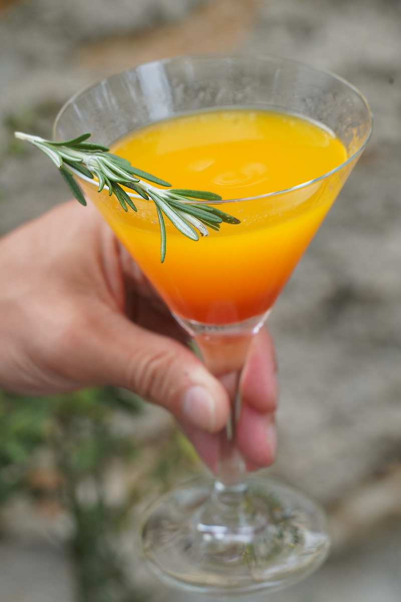 Un main prend un verre de boisson orangée surmontée d'une branche de romarin